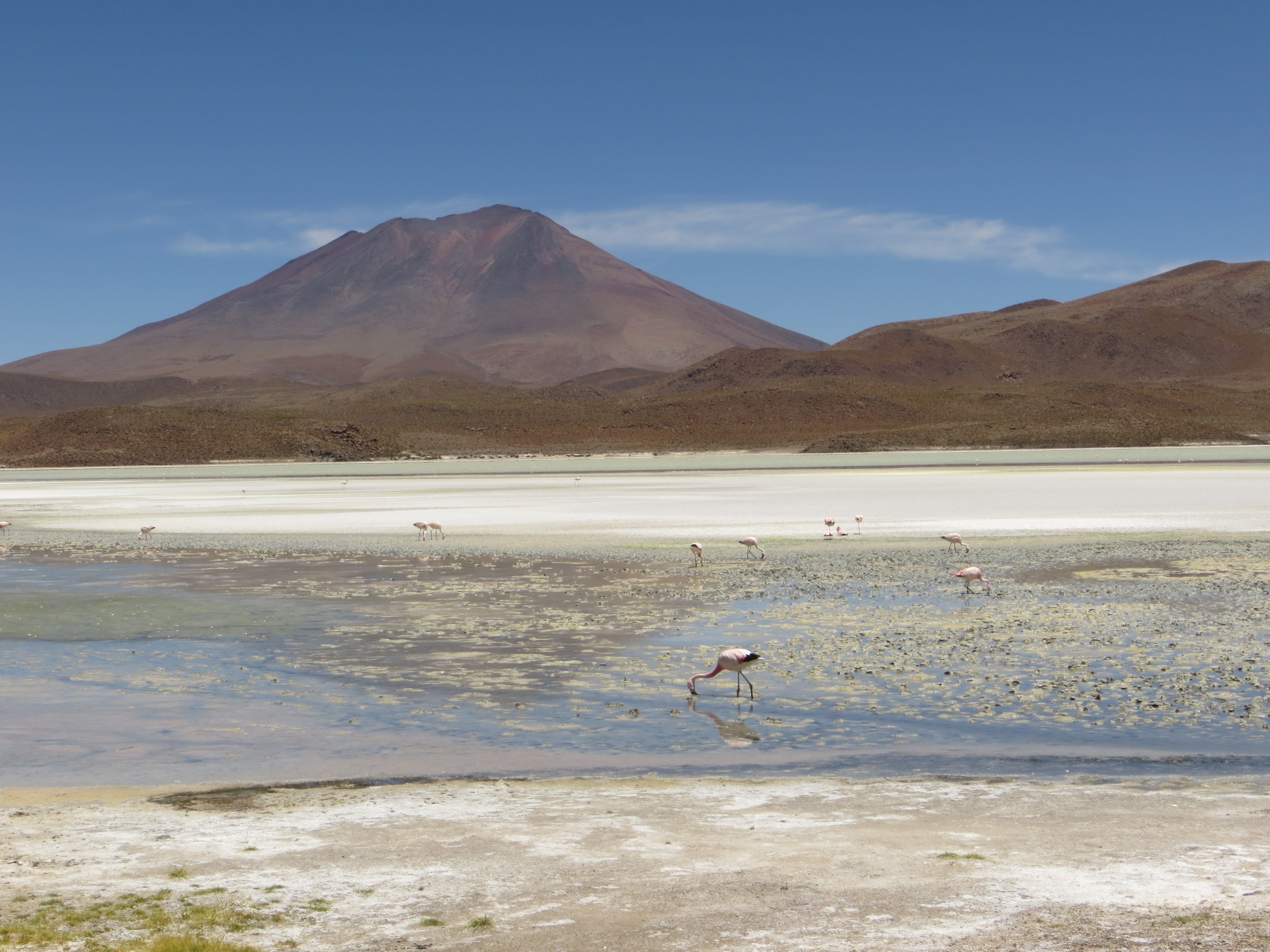 wp-content/uploads/itineraries/Bolivia/Uyuni/Laguna Hedionda.JPG